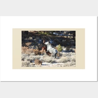 Wild horses, wildlife, nature, gifts Posters and Art